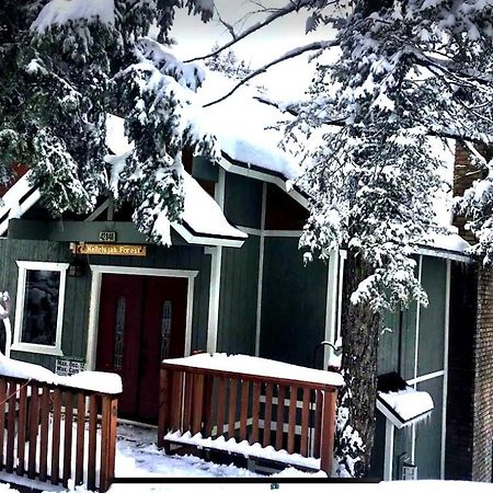 Villa Hallelujah Forest à Lac Big Bear Extérieur photo